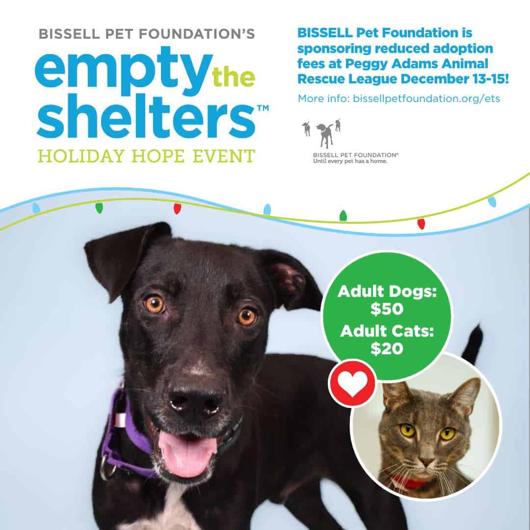 Adopta un perro o gato durante el evento navideño en Peggy Adams, apoyando los esfuerzos de rescate de mascotas.