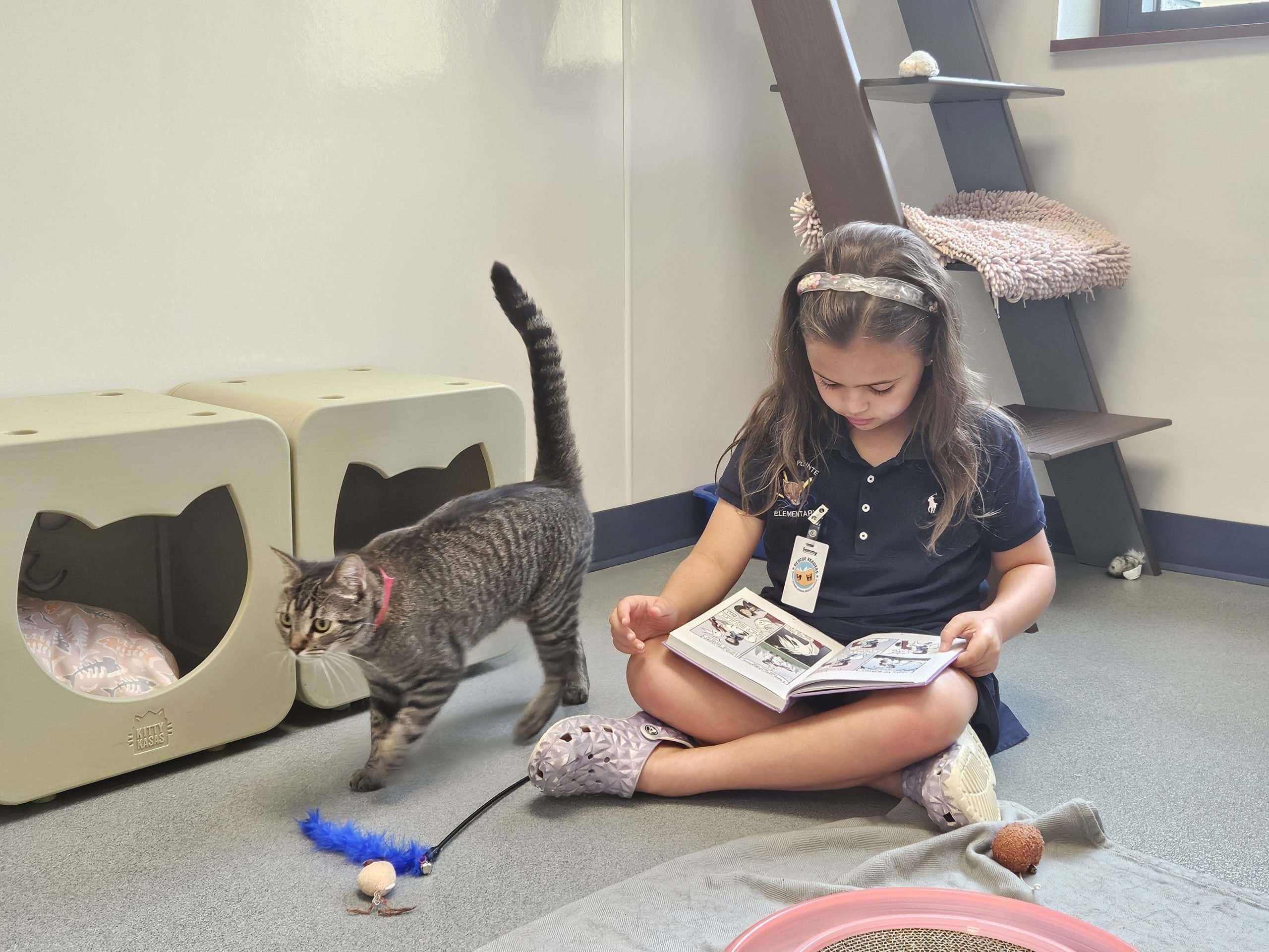 Niña sentada en el suelo leyendo un libro con un gato cerca en el refugio de animales Peggy Adams.