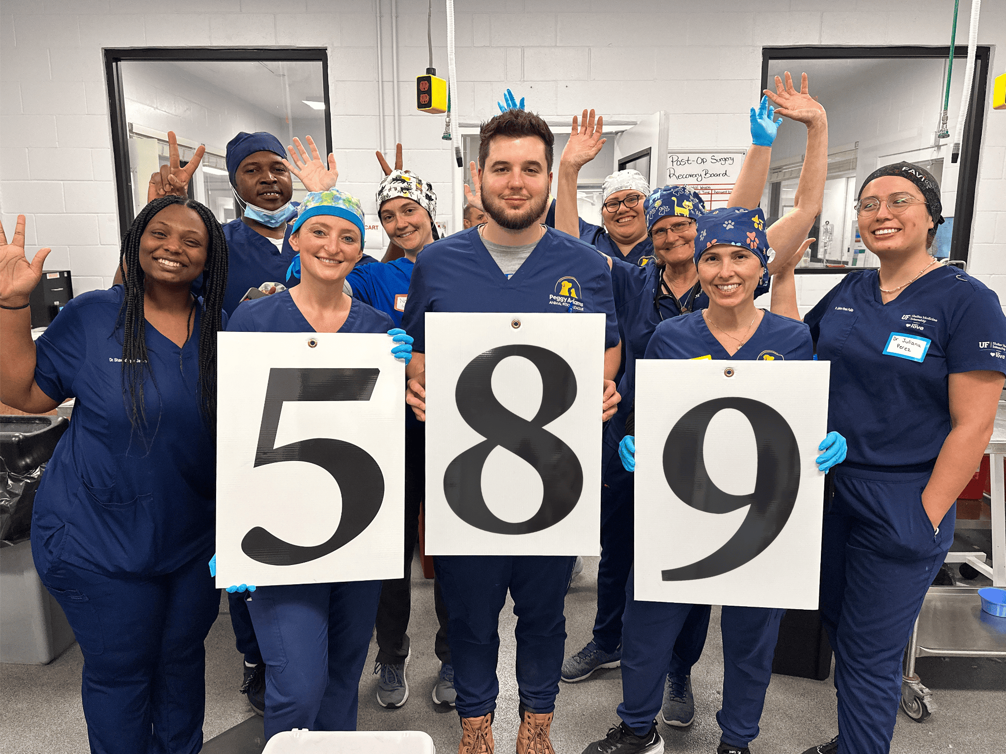 Veterinary team celebrating at Peggy Adams with signs displaying 589.