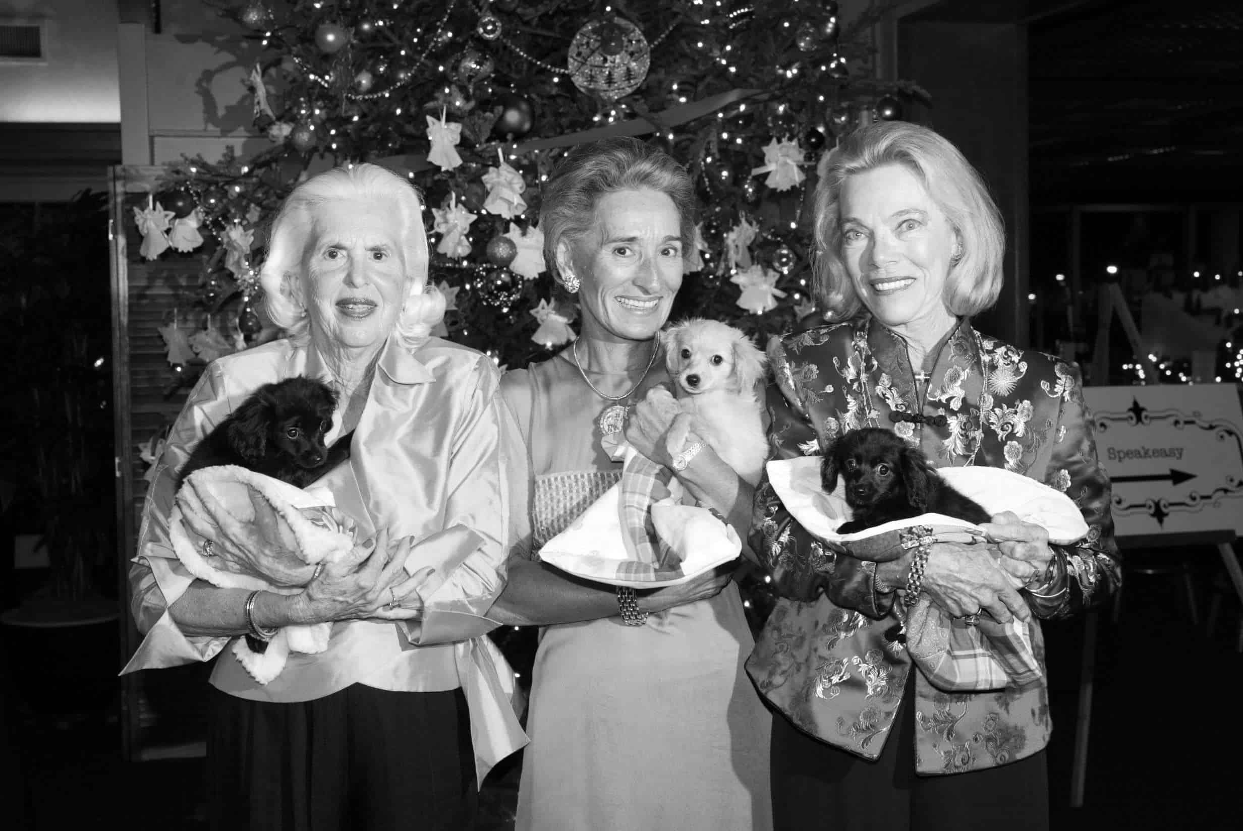 Mujeres felices sosteniendo cachorros en un evento navideño.