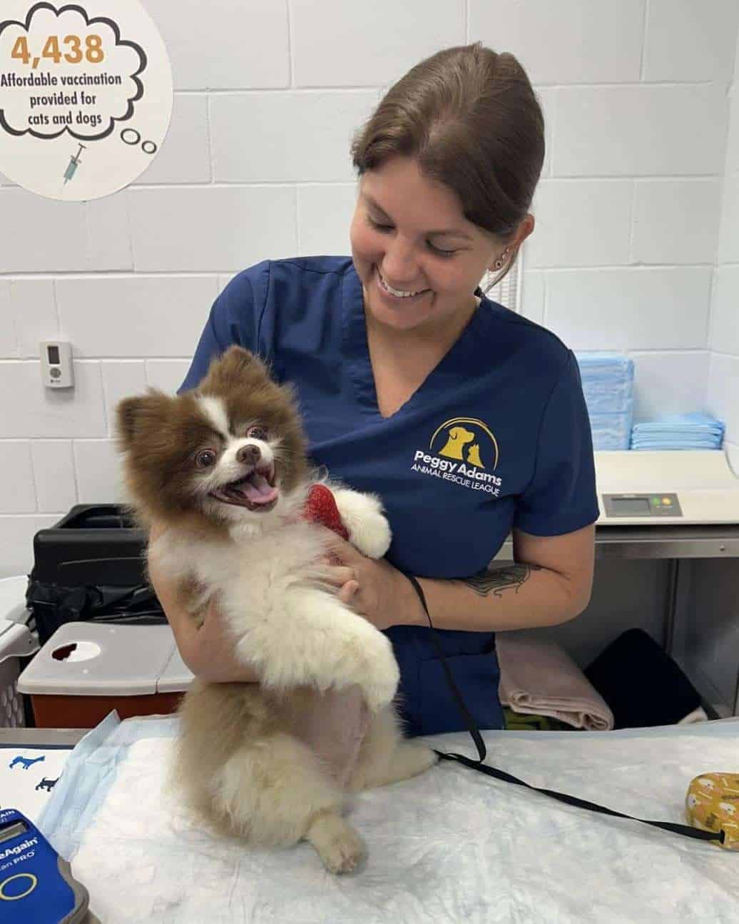 Happy puppy being examined by a veterinarian at Peggy Adams Animal Rescue.