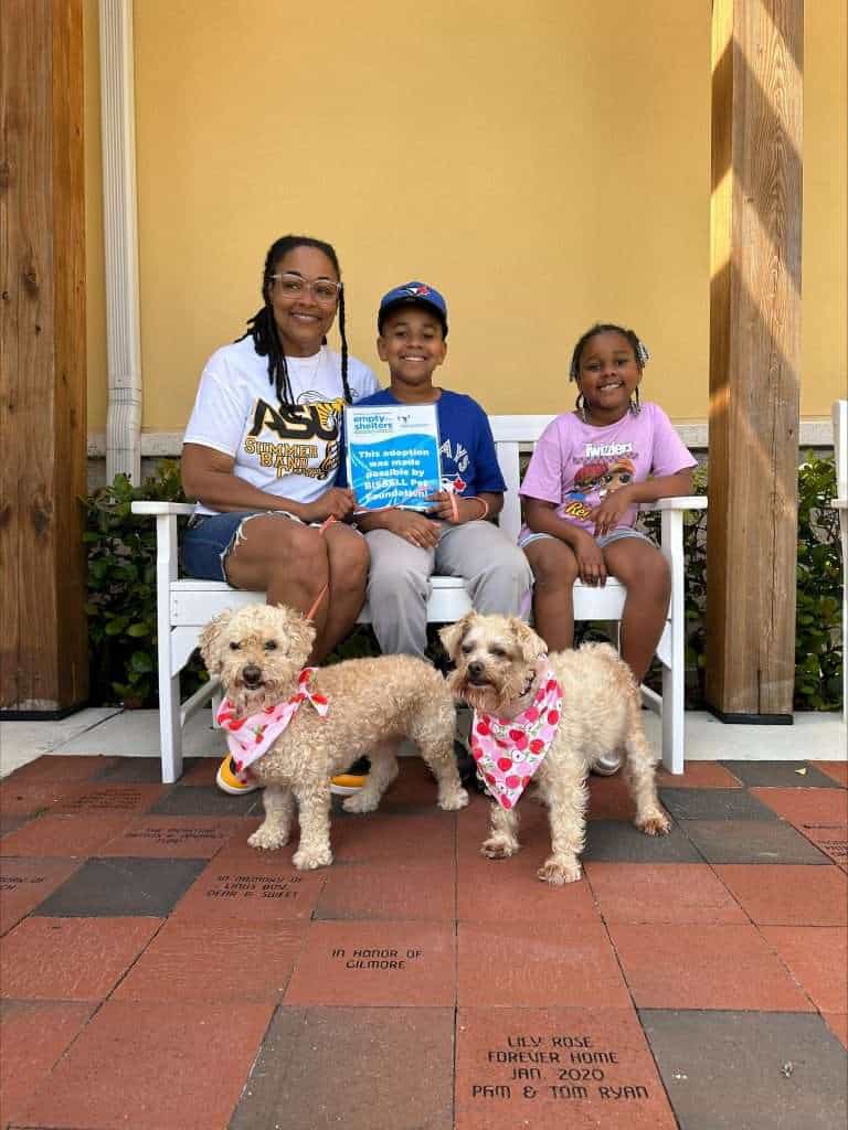 Familia feliz con dos niños y dos perros sentados en un banco al aire libre.