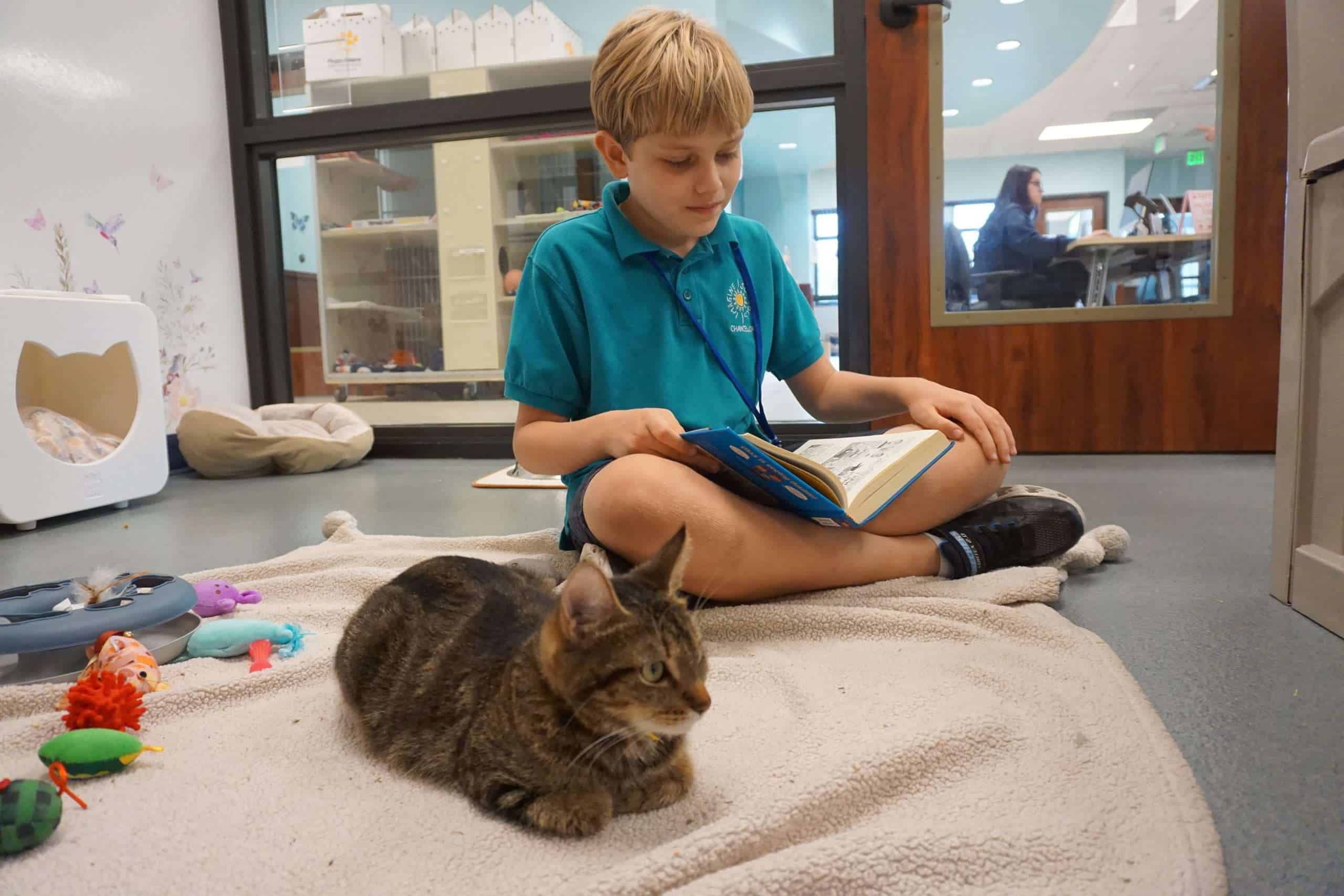 Child and cat relaxing indoors at Peggy Adams Animal Rescue.