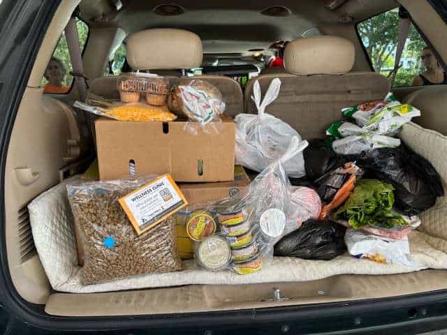 Alimentos y suministros para mascotas cargados en la parte trasera de un vehículo.