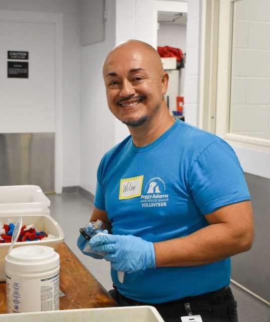 Volunteer smiling with supplies at Peggy Adams Animal Rescue, wearing a blue volunteer shirt and glo.