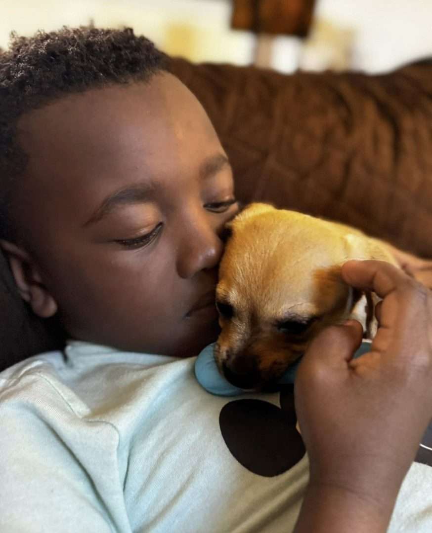 Niño joven sosteniendo y besando un cachorro pequeño con un collar azul.