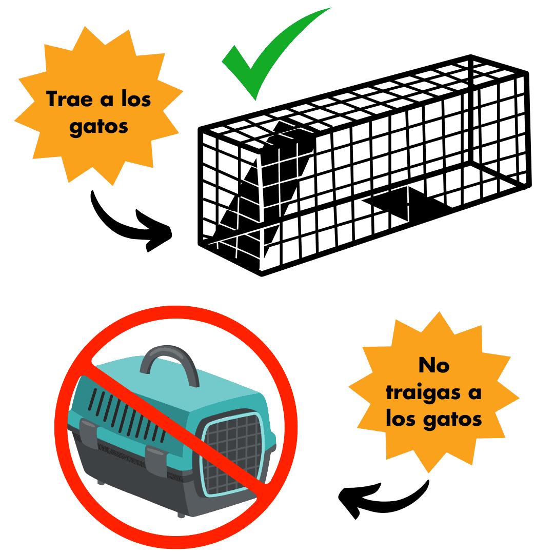 Trampa jaula segura para gatos para rescate animal humano y captura segura.