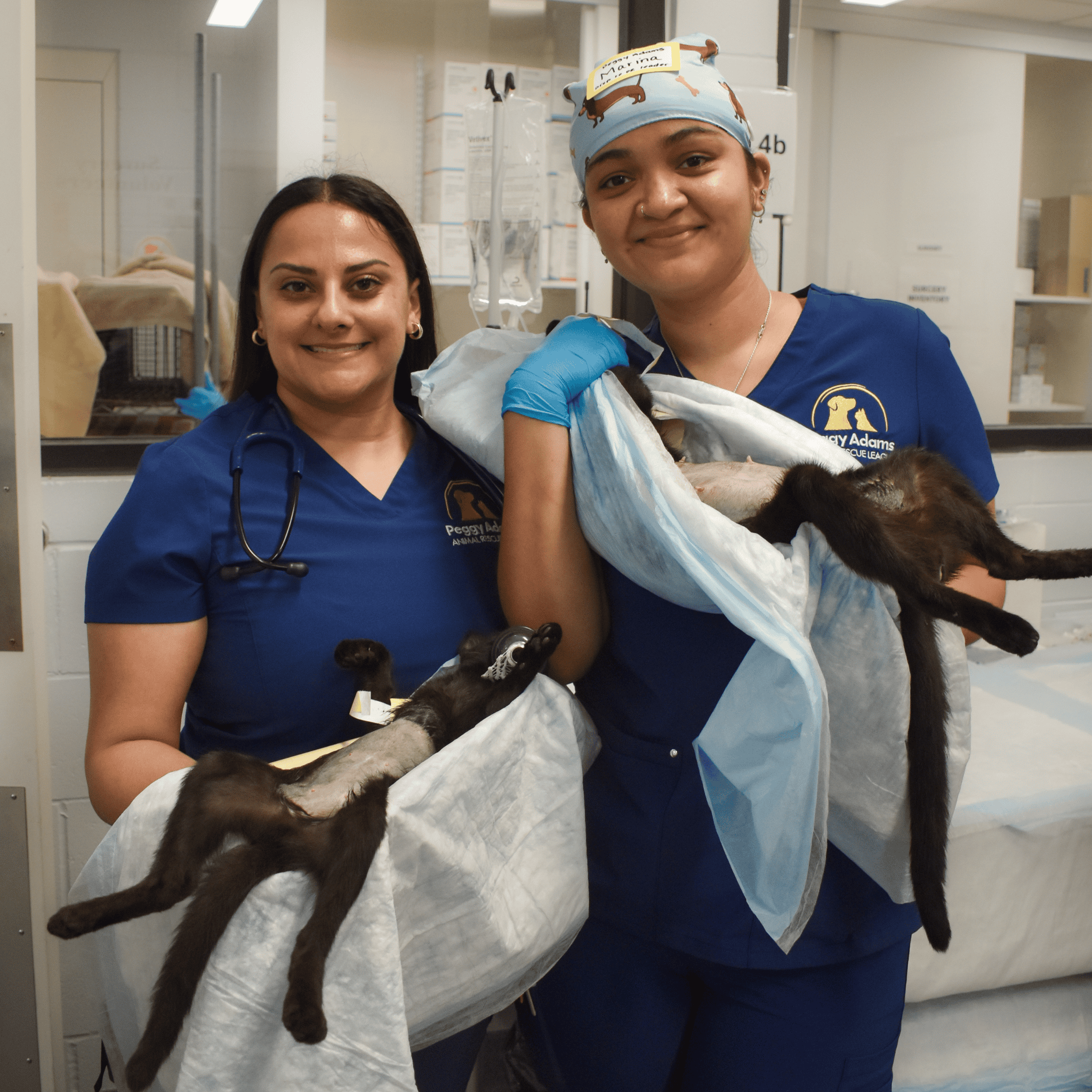 Two veterinary staff members holding rescued kittens at Peggy Adams Animal Rescue.