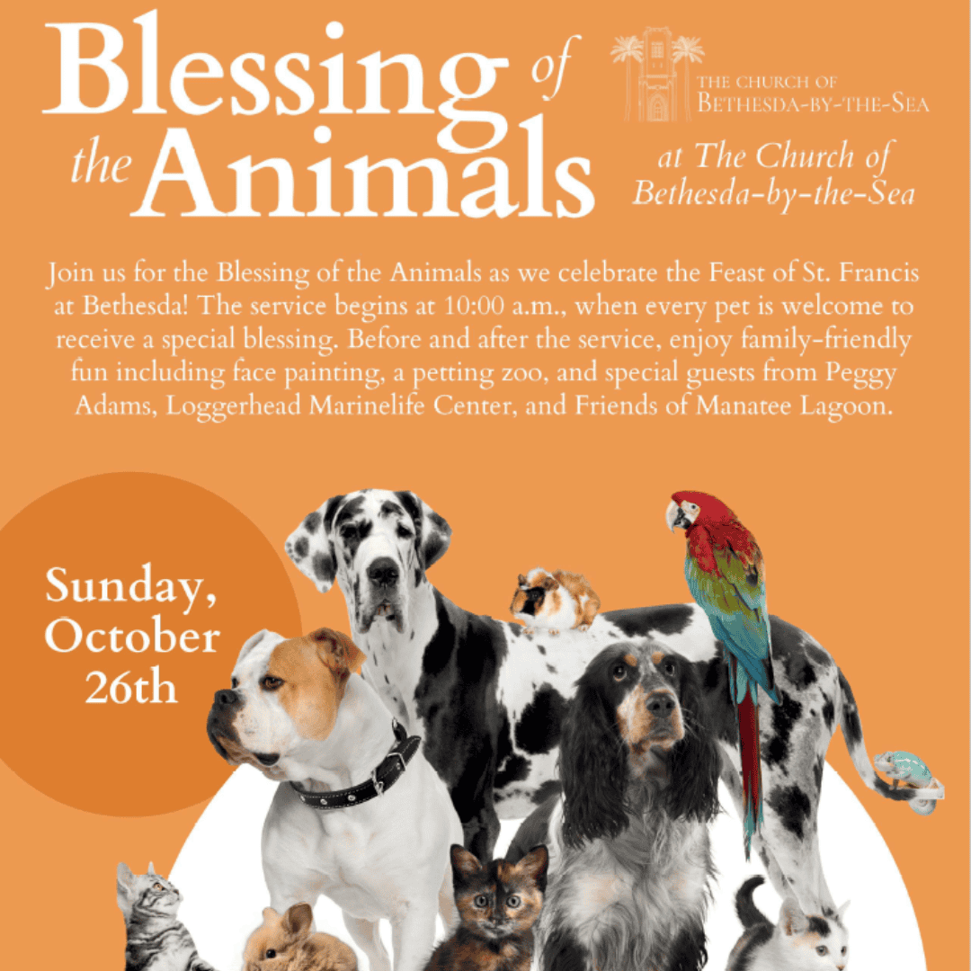 Perros, gatos y un loro en el evento de Bendición de los Animales en la Iglesia Betsaida.