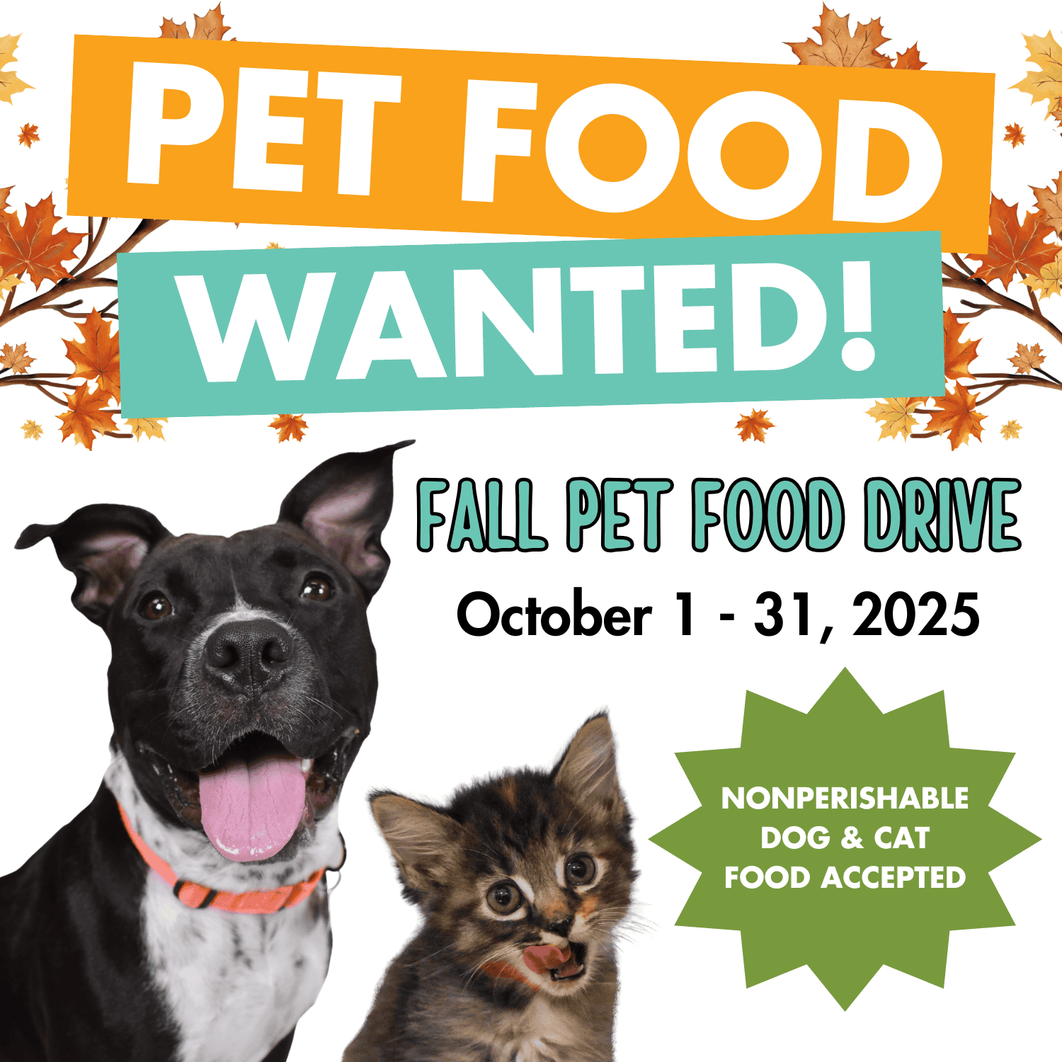 Pet food drive poster with dog and cat for fall donation event.