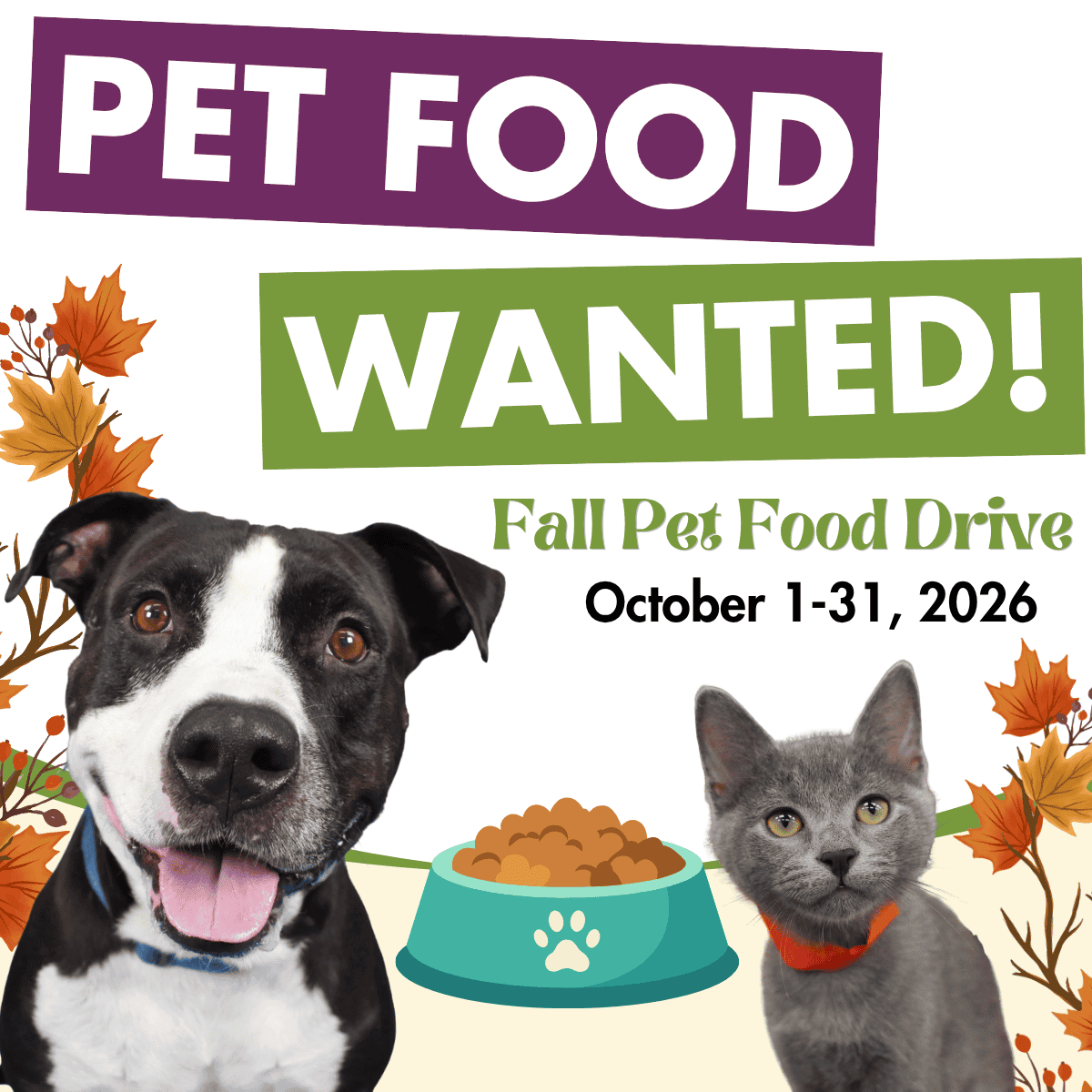Pet food drive poster with dog and cat for Peggy Adams Animal Rescue.