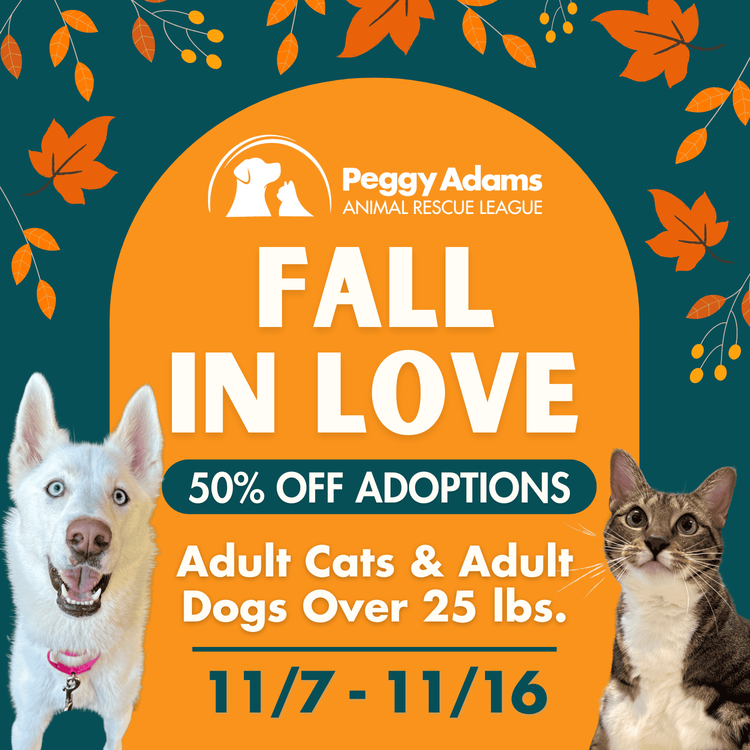 Adopta gatos y perros adultos de más de 25 libras con el descuento 50% durante el evento de otoño.