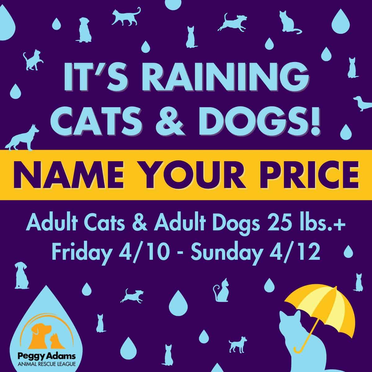 Adopt adult cats and dogs over 25 lbs during the rainy day event at Peggy Adams. Special prices from.