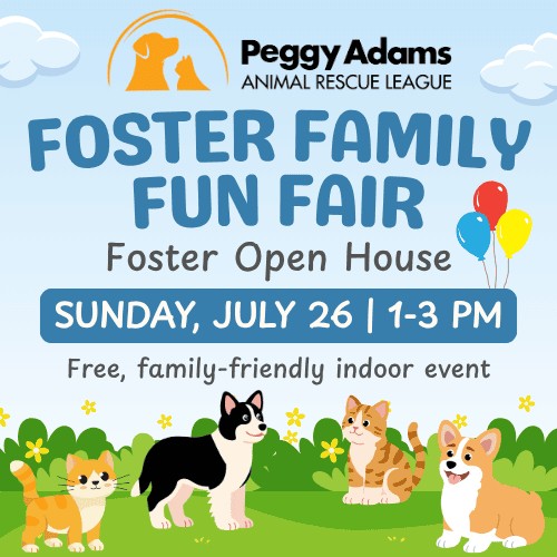 Foster Family Fun Fair event poster with animals and balloons for Peggy Adams.