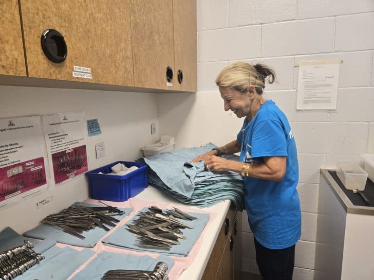 A female volunteer doing instrument sterilization at Peggy Adams Animal Rescue League.