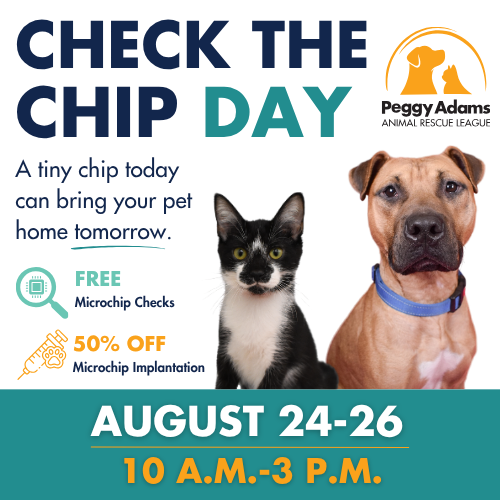 Pet microchip check event with dog and cat for adoption or microchipping.