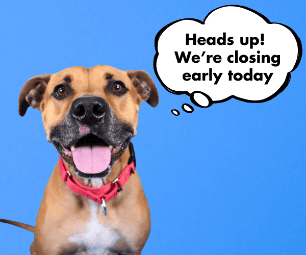 Happy dog with a speech bubble saying we're closing early today.