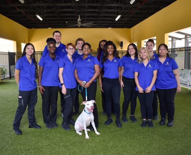Group of staff members at Peggy Adams Animal Rescue with a dog.