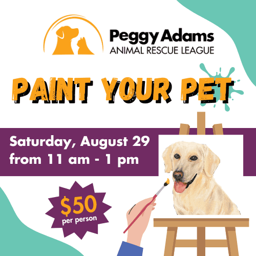 Dog getting painted at Peggy Adams Animal Rescue League event.