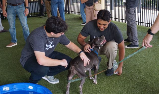 Happy dog meeting new friends at Peggy Adams Animal Rescue event.