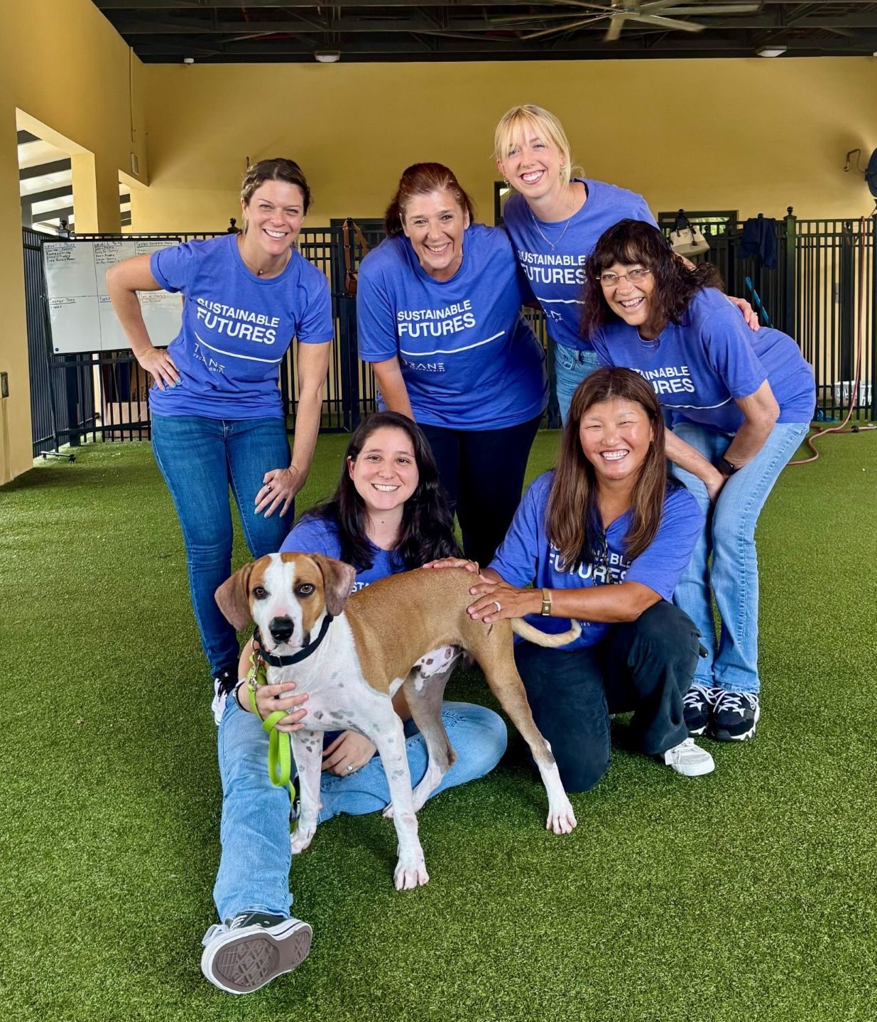 A group photo of women from Trane and a shelter dog after participating in a corporate group volunteer project.