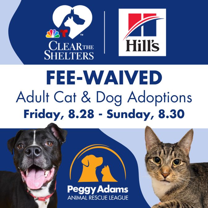 Fee-Waived Adult Cat & Dog Adoptions Friday, 8.28 - Sunday, 8.30