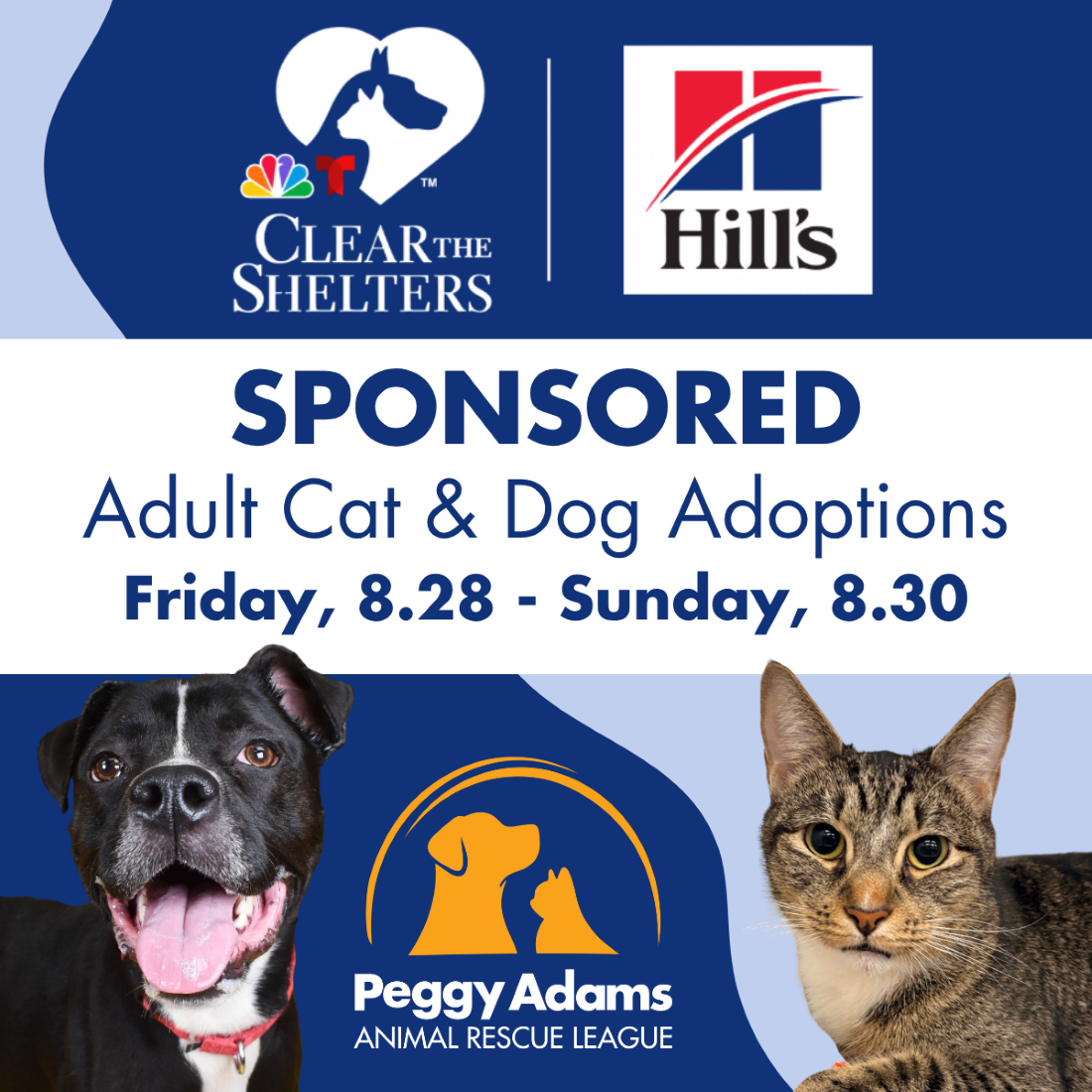 Adopt adult cats and dogs at Peggy Adams Animal Rescue League this weekend.