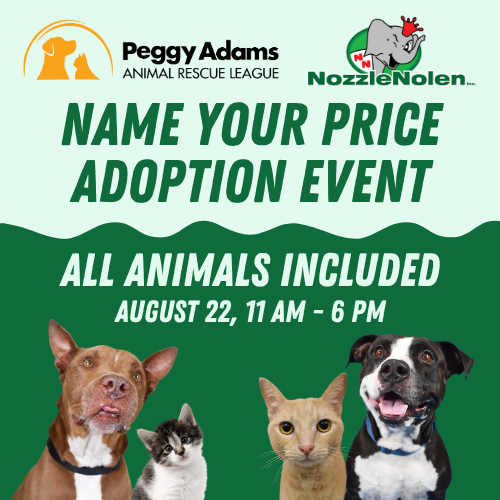 Images of adoptable dogs and cats advertising a Nozzle Nolen adoption special at Peggy Adams Animal Rescue League on August 22.