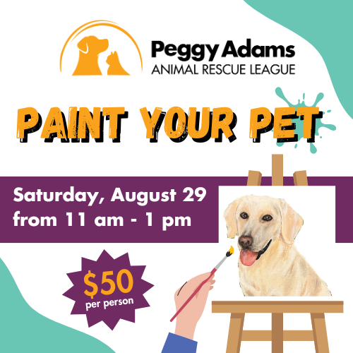 Dog getting painted at Peggy Adams Pet Rescue event on August 29.
